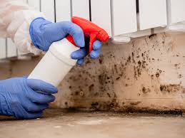 Best Real Estate Mold Inspection  in Ellsworth, KS